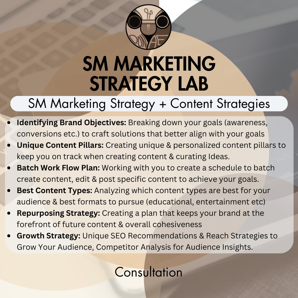 Social Media Marketing Strategy Lab